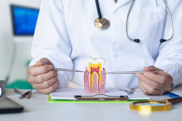 Best Tooth Pain Emergency Relief  in Venice Gardens, FL